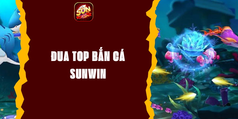 Đua Top Bắn Cá Sunwin - Cơ Hội Nhận Phần Thưởng Hấp Dẫn